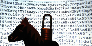 Online-Banking: Trojaner klaut 36 Millionen Euro