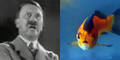 Adolf Hitler Fisch