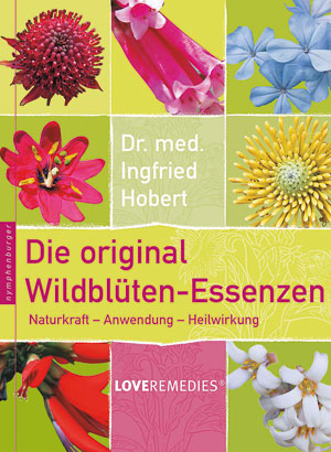Nützen Sie die Kraft der Wildblüten