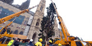Selbst Bürgermeister Ludwig 'verspottet' Rathaus-Christbaum 