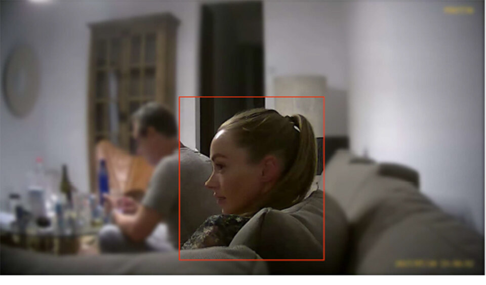 Kripo hat das GANZE Video für Ibiza-U-Ausschuss