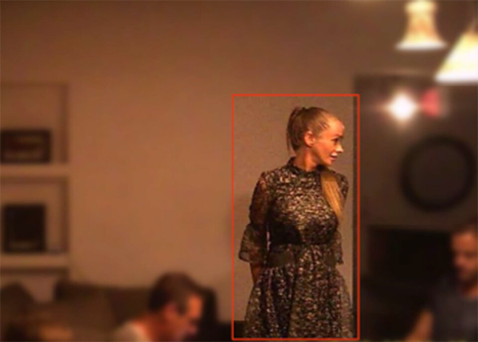 Kripo hat das GANZE Video für Ibiza-U-Ausschuss