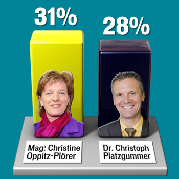 Piraten schaffen ihr erstes Mandat