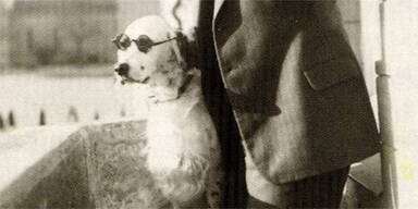 Hitler Hund Jackie Borg