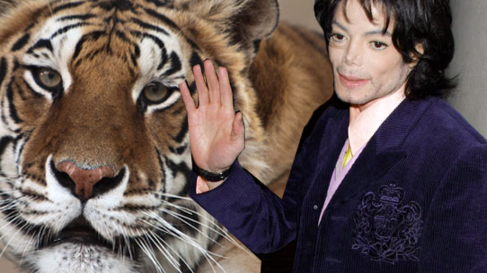 Tiger von Michael Jackson ist gestorben