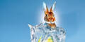 Kalte Ostern