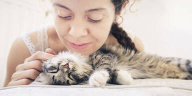 Hoffnung für Katzenliebhaber mit Allergie