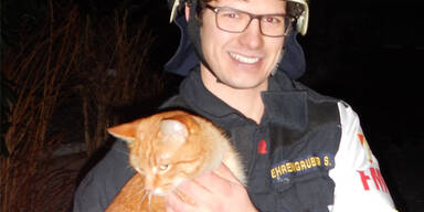 Katze rettet Familie vor Feuersbrunst