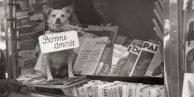 kiosk_hund