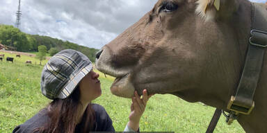 Ministerin warnt vor "Küsse eine Kuh"-Challenge
