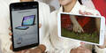 Smartphones & Tablets boomen wie nie
