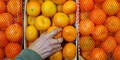 Mandarinen mit Pestiziden belastet