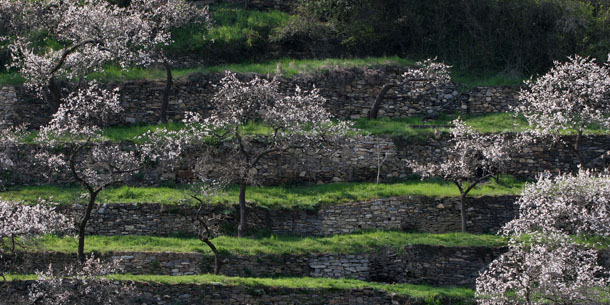 So strahlend startete der Frühling