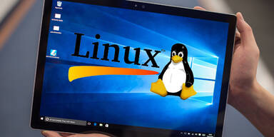 Microsoft öffnet sich für Linux
