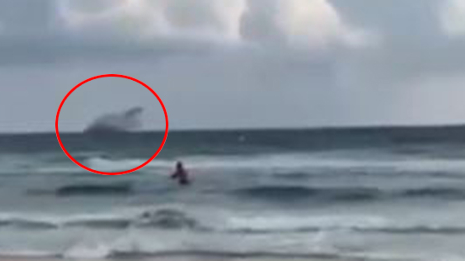 Schock Video! Meuterei Der Investoren – Windkraft Boykott Am Meer Explodiert! - bvkc9eg