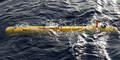 Flug MH370: Mini-U-Boot bricht Suche ab
