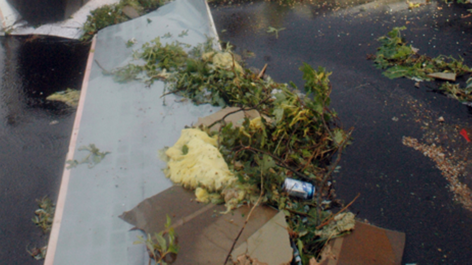 Elf Tote nach Stürmen in den USA oe24.at