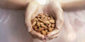 Gesunde Nüsse: Guter Kern in harter Schale