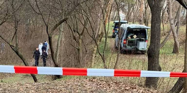 Mord-Alarm in Wr. Neustadt: 16-Jährige getötet