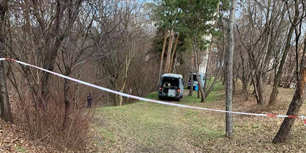 Mord-Alarm in Wr. Neustadt: 16-Jährige getötet
