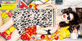 ny_cover605