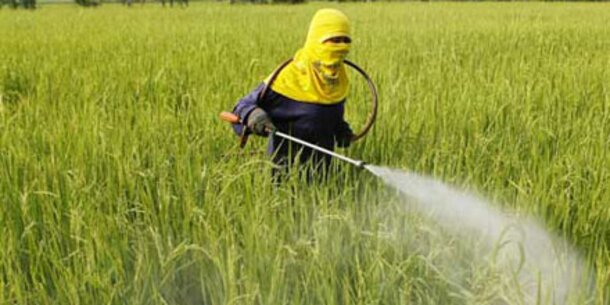 Pestizide schuld an Verhaltensstörungen