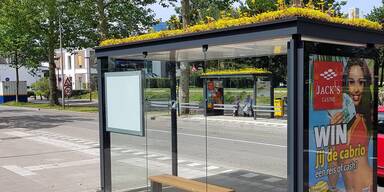 Begrünte Bushaltestellen in Salzburg
