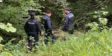 Verweste Frauenleiche in Wald gefunden
