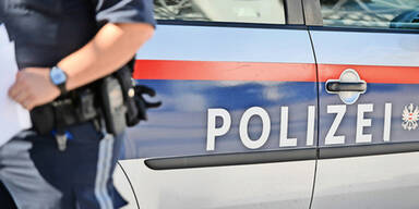 Polizei schnappt slowenischen Axt-Mörder