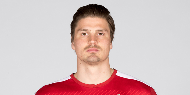 Prödl Profil