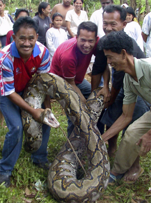 python_3