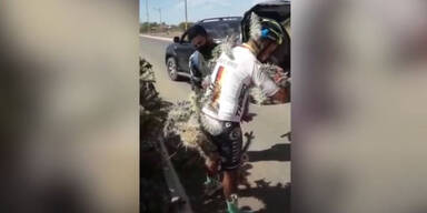 AUTSCH: Dieser Radfahrer krachte voll in einen Kaktus