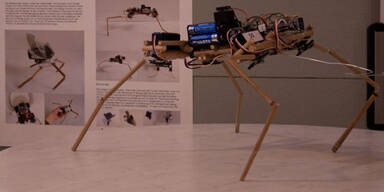 RobotChallenge 2012 lässt Roboter fliegen