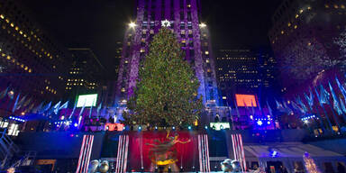 Eule aus Weihnachtsbaum für Rockefeller-Center gerettet