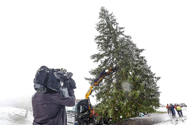 Christbaum