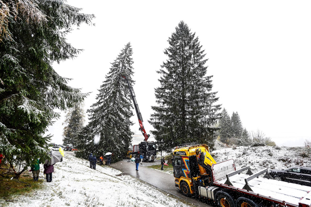 Christbaum