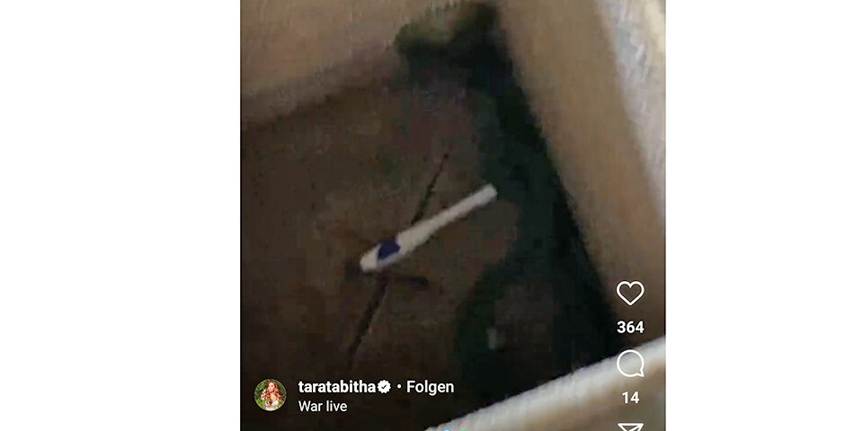 Tara Tabitha