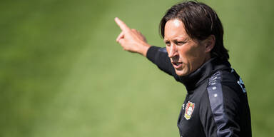 Leverkusen-Coach Schmidt lobt Baumgartlinger
