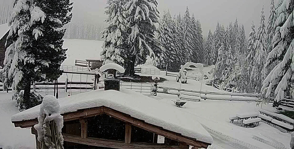 Winter meldet sich zum 1. Mal