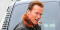 Schwarzenegger wird Comic-Helden