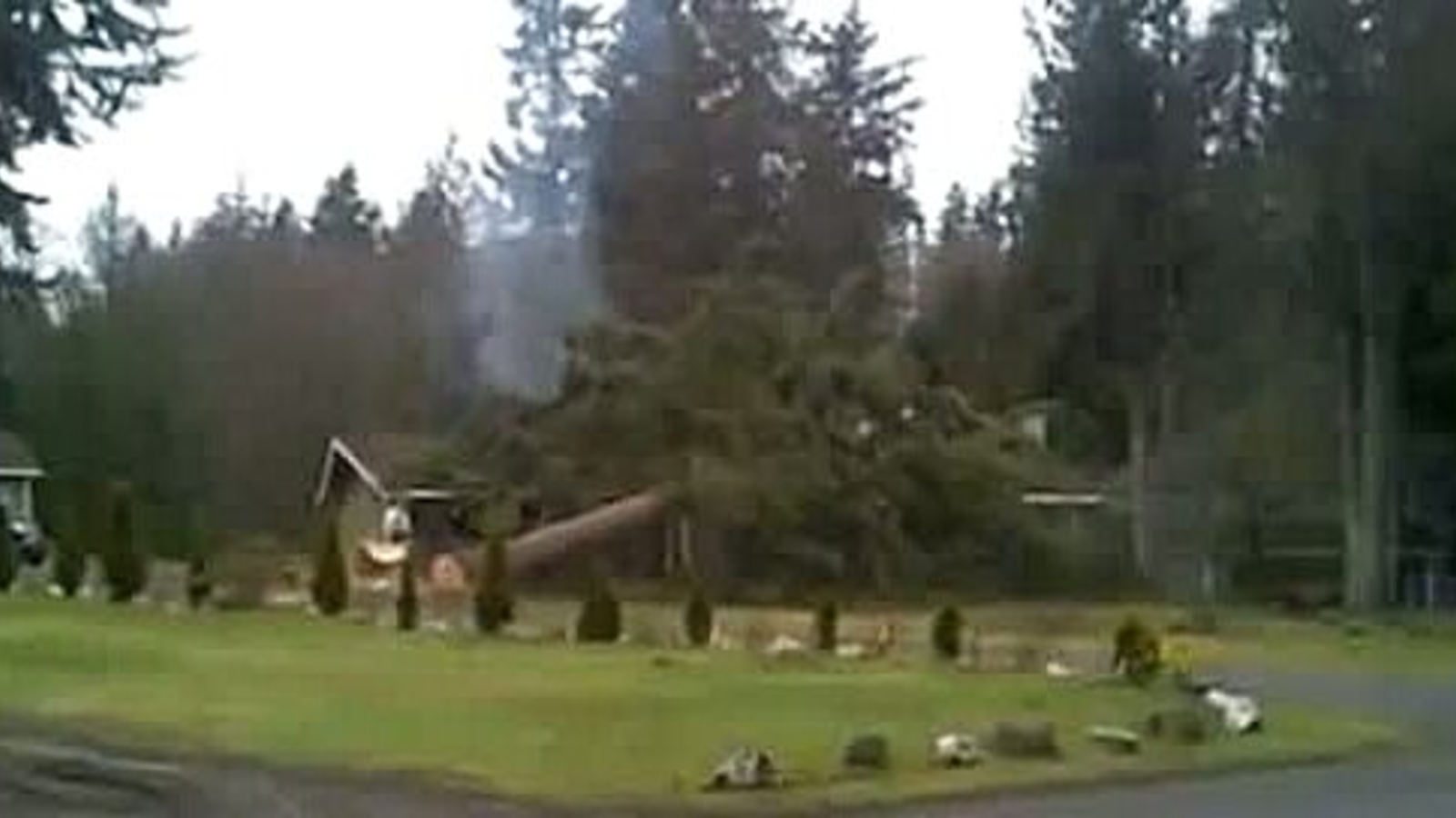 Mann fällt Baum Baum kracht auf Haus