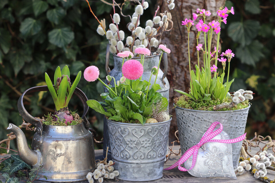 Oster-Erwachen im Garten