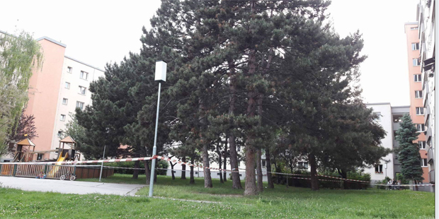 Messer-Attacke: Video zeigt dramatische Szenen