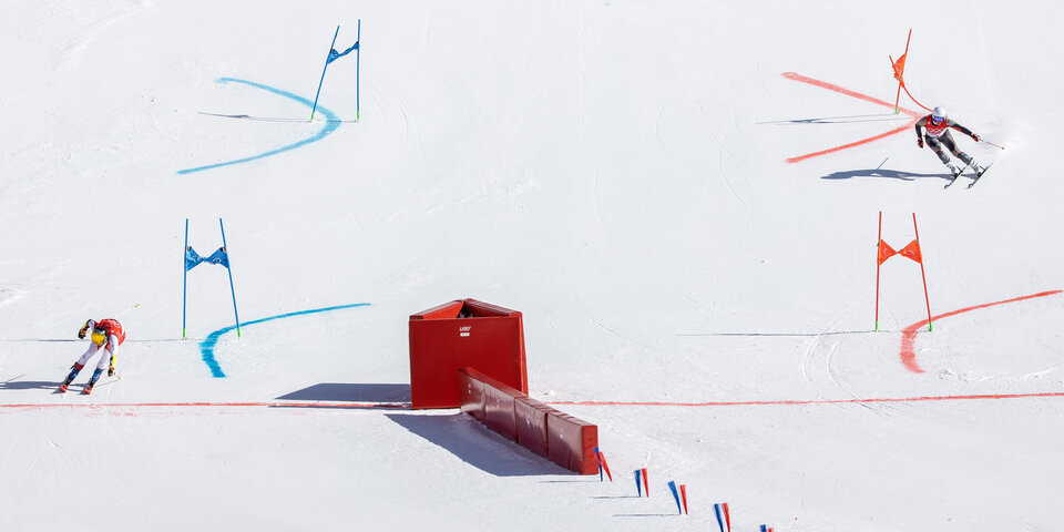 Team-GOLD! Ski-Stars mit perfektem Abschluss
