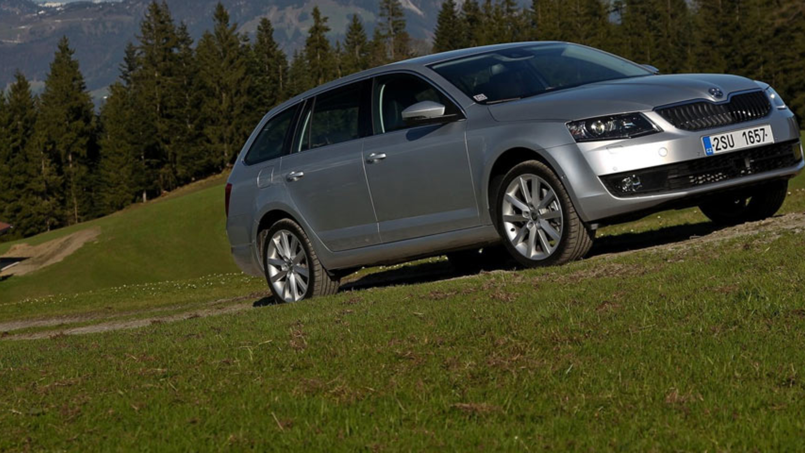 Die beliebtesten Gebrauchtwagen in Österreich - Top-20-Automarken