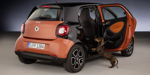 Trick macht Smart Hunde-tauglich
