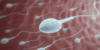 Zahl der Spermien nimmt rapide ab
