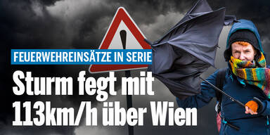 Sturm fegt mit 113 km/h über Wien