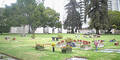 Taylor Friedhof