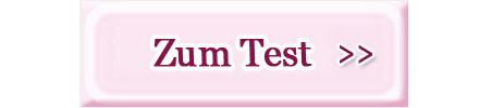 Zum Test Button Pychotest